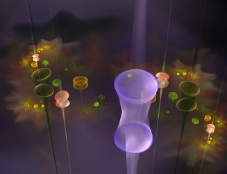 Similar image 22106902