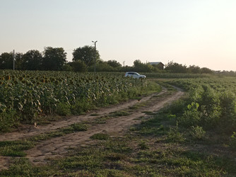 Similar image 22128346