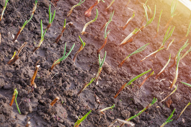 Similar image 22108995