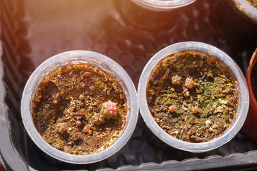 Similar image 22111791