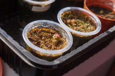 Similar image 22111792