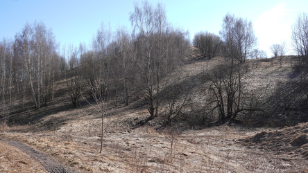 Similar image 22099412