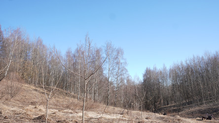 Similar image 22105922