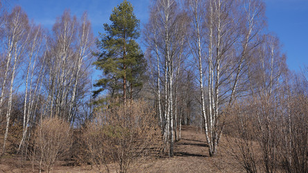 Similar image 22105923