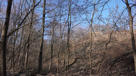 Similar image 22099413