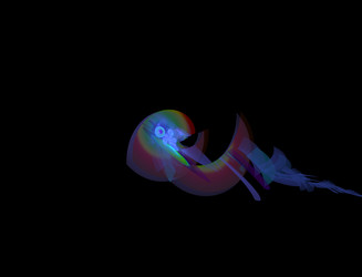 Similar image 22107042