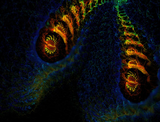 Similar image 22107044