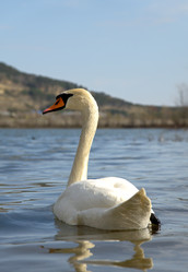 Similar image 22100903