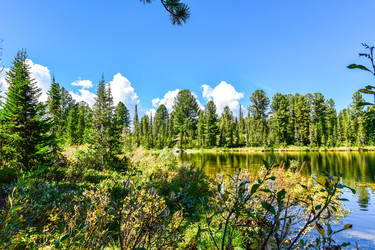 Similar image 22101018