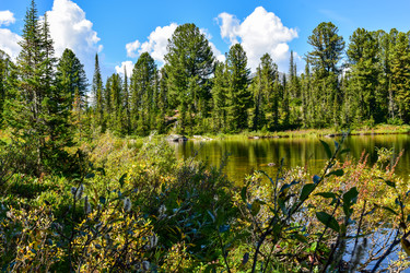 Similar image 22101019