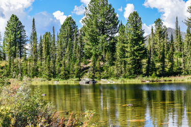 Similar image 22101029