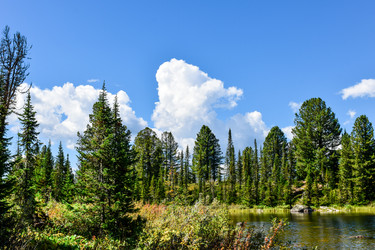 Similar image 22101032