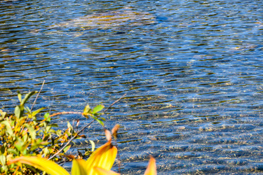 Similar image 22101035