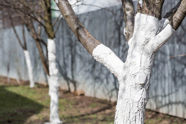 Similar image 22101147