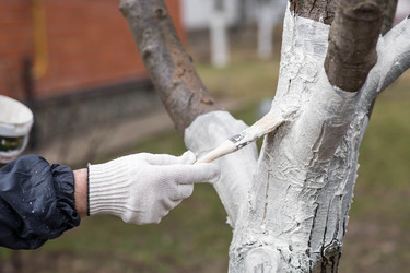 Similar image 22101151