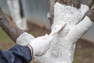 Similar image 22101152