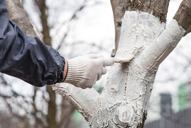 Similar image 22101153