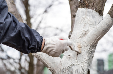 Similar image 22101154