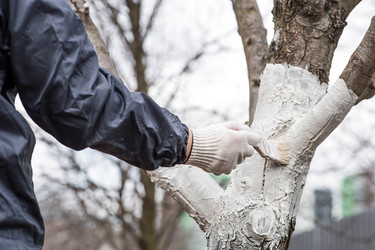 Similar image 22101156