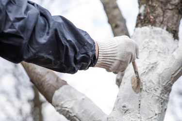 Similar image 22101157