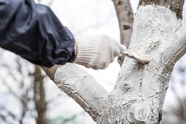 Similar image 22101158