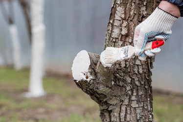 Similar image 22101159