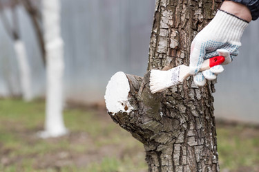 Similar image 22101160