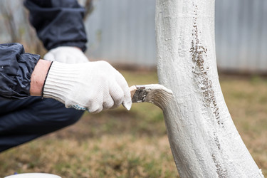 Similar image 22101161