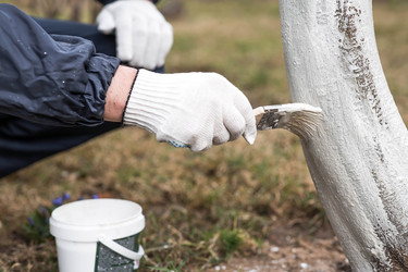 Similar image 22101162