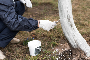 Similar image 22101163