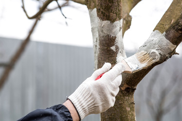 Similar image 22101165