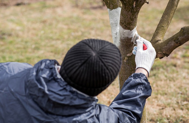 Similar image 22101168