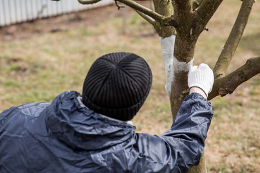 Similar image 22101171