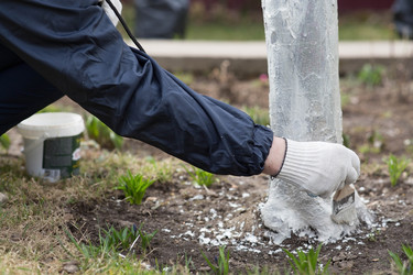 Similar image 22101172