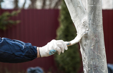 Similar image 22101173