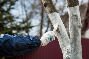 Similar image 22101174