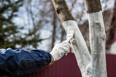 Similar image 22101175