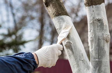 Similar image 22101176