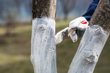 Similar image 22101178