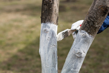 Similar image 22101179