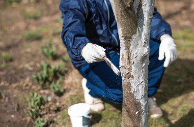 Similar image 22101180