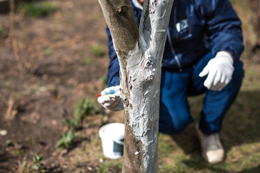 Similar image 22101181