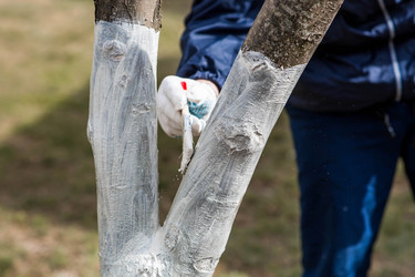 Similar image 22101182