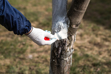 Similar image 22101183