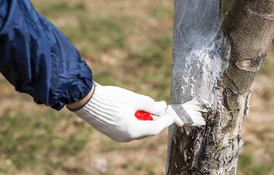 Similar image 22101184