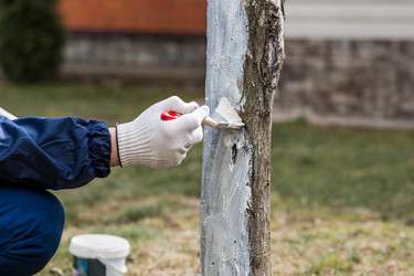 Similar image 22101185