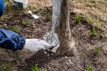 Similar image 22101187