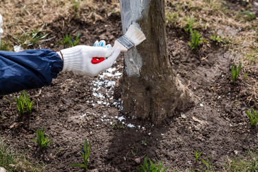 Similar image 22101188