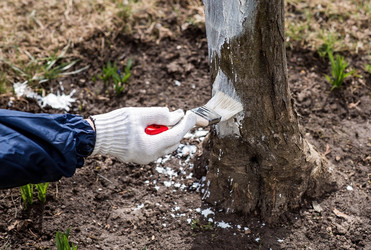 Similar image 22101189