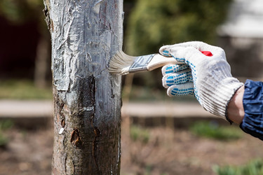 Similar image 22101190